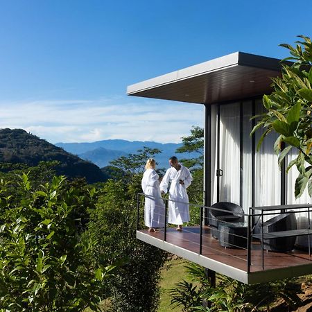 Отель Ferndale Retreat Knuckles Rangala Экстерьер фото
